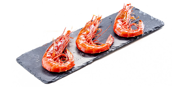 The red shrimp of Palamós