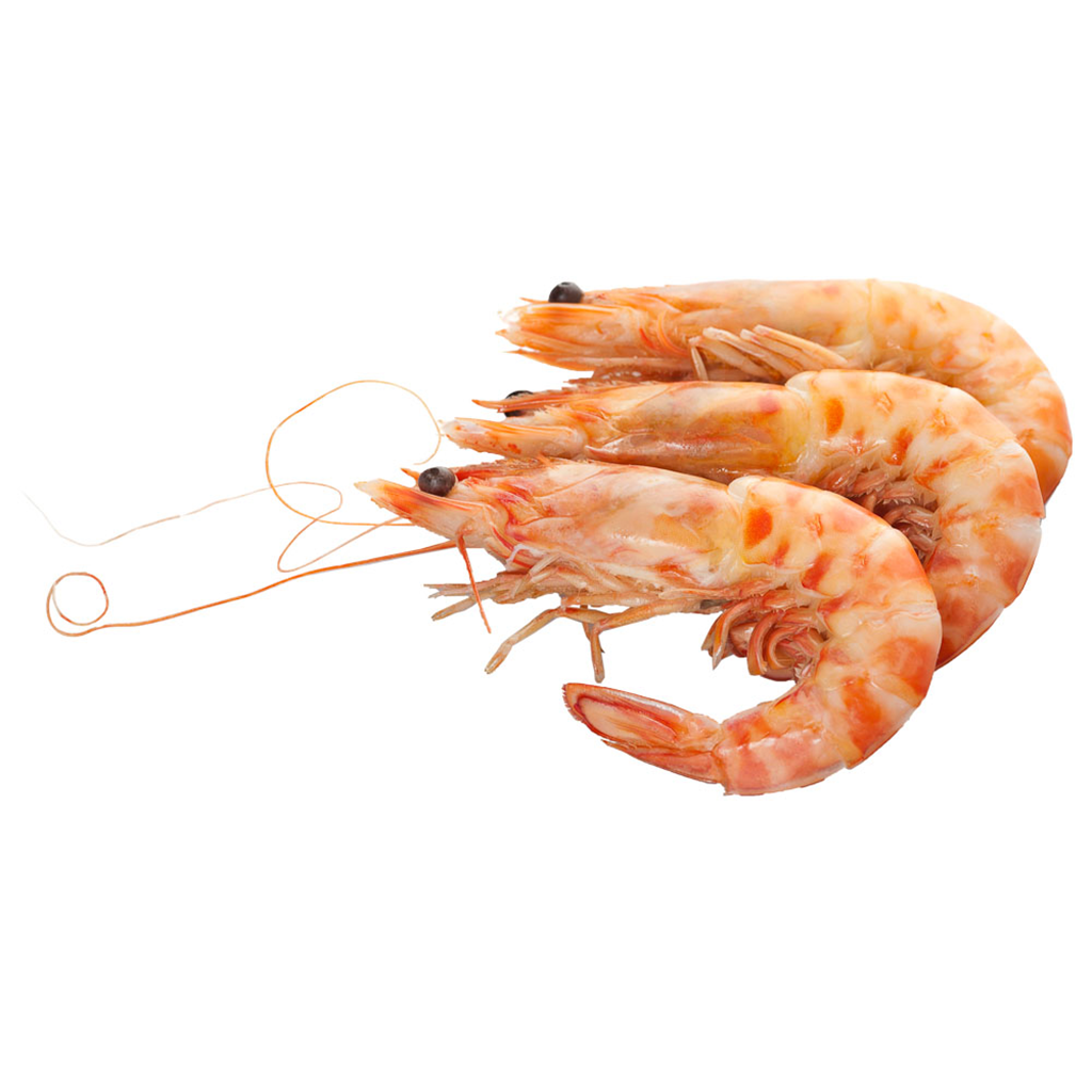 Shrimp: Characteristics, habitat and nutritional value