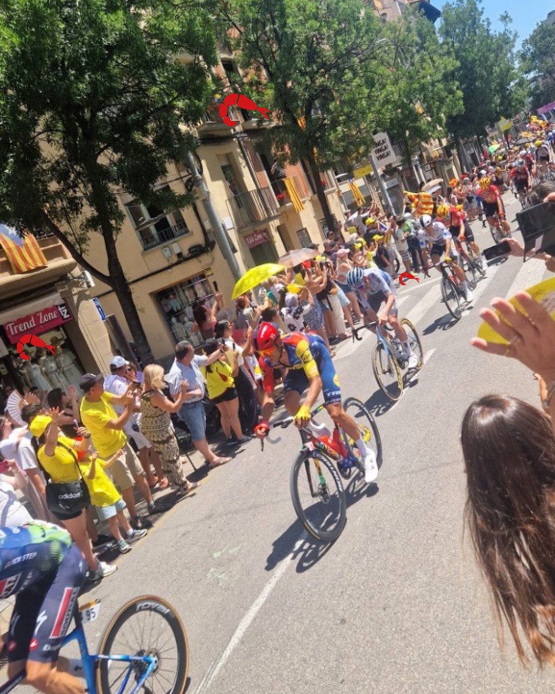 BASES LEGALES DEL CONCURSO «CAZA LA GAMBA FERRER»